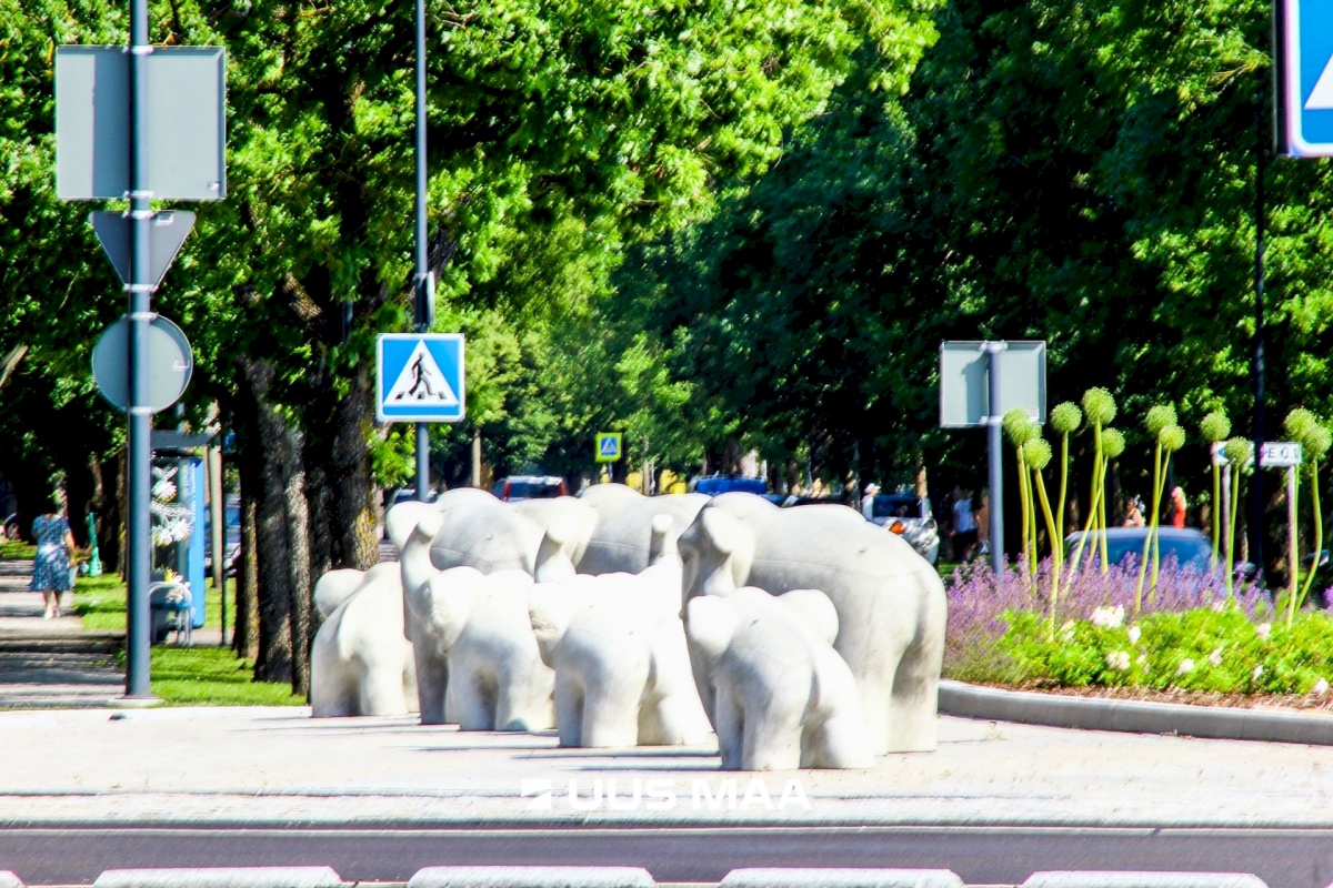 Pärnu linn, Pärnu linn, Rääma, Ilvese tn 34