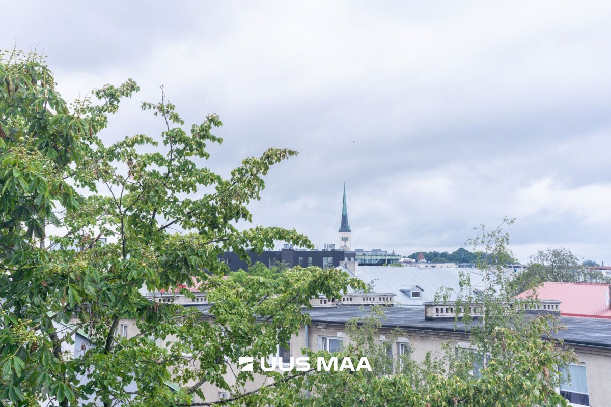 Tallinn, Kesklinna linnaosa, Tuukri 15