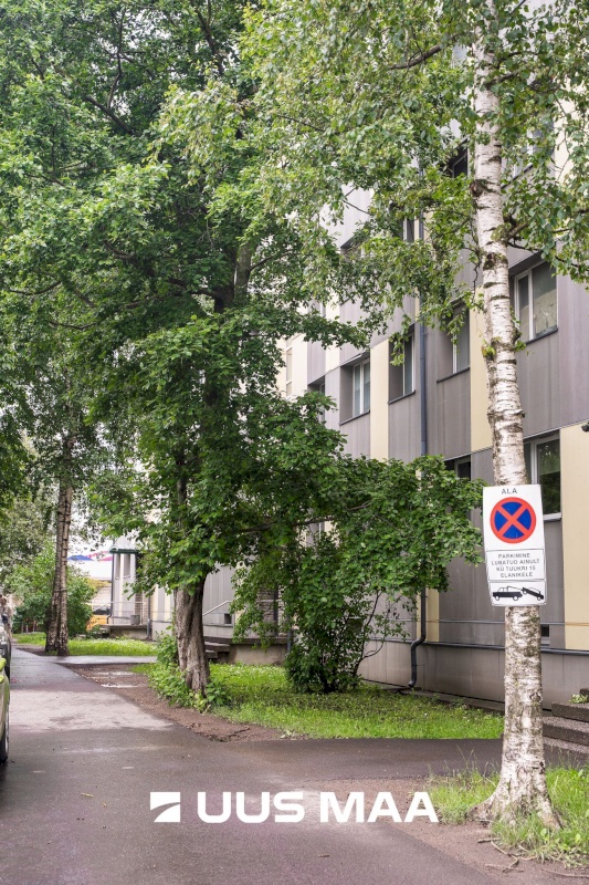 Tallinn, Kesklinna linnaosa, Tuukri 15