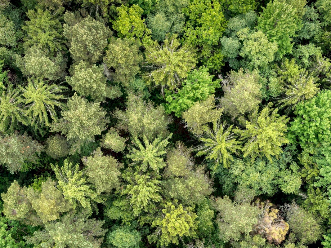 Viimsi vald, Randvere küla, Kurekannuse tee 17