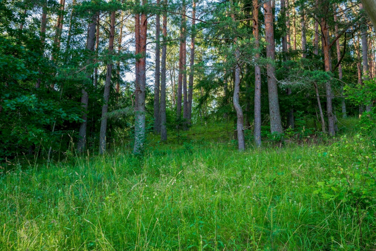 Elva vald, Elva linn, Mahlamäe 17d
