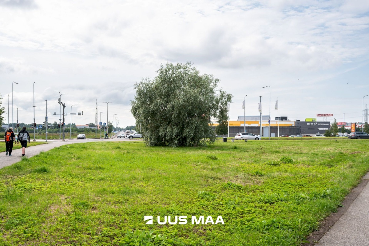 Tallinn, Lasnamäe linnaosa, Mahtra 12