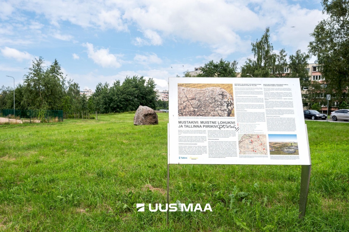 Tallinn, Lasnamäe linnaosa, Mahtra 12