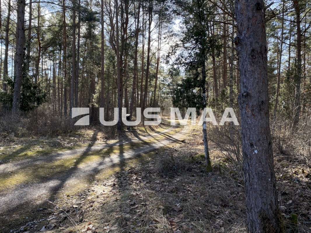 Saue vald, Koppelmaa küla, Poki tee
