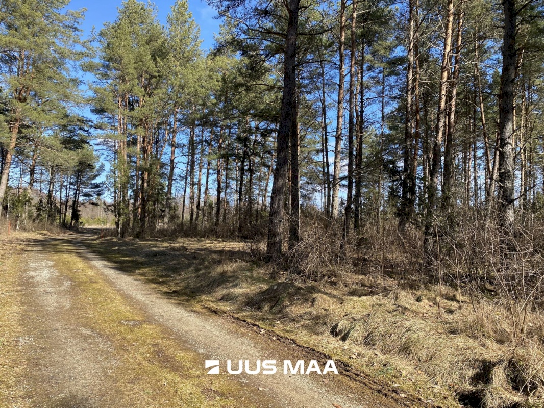 Saue vald, Koppelmaa küla, Poki tee