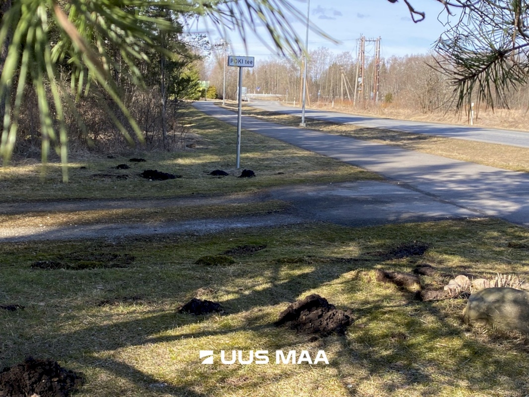 Saue vald, Koppelmaa küla, Poki tee