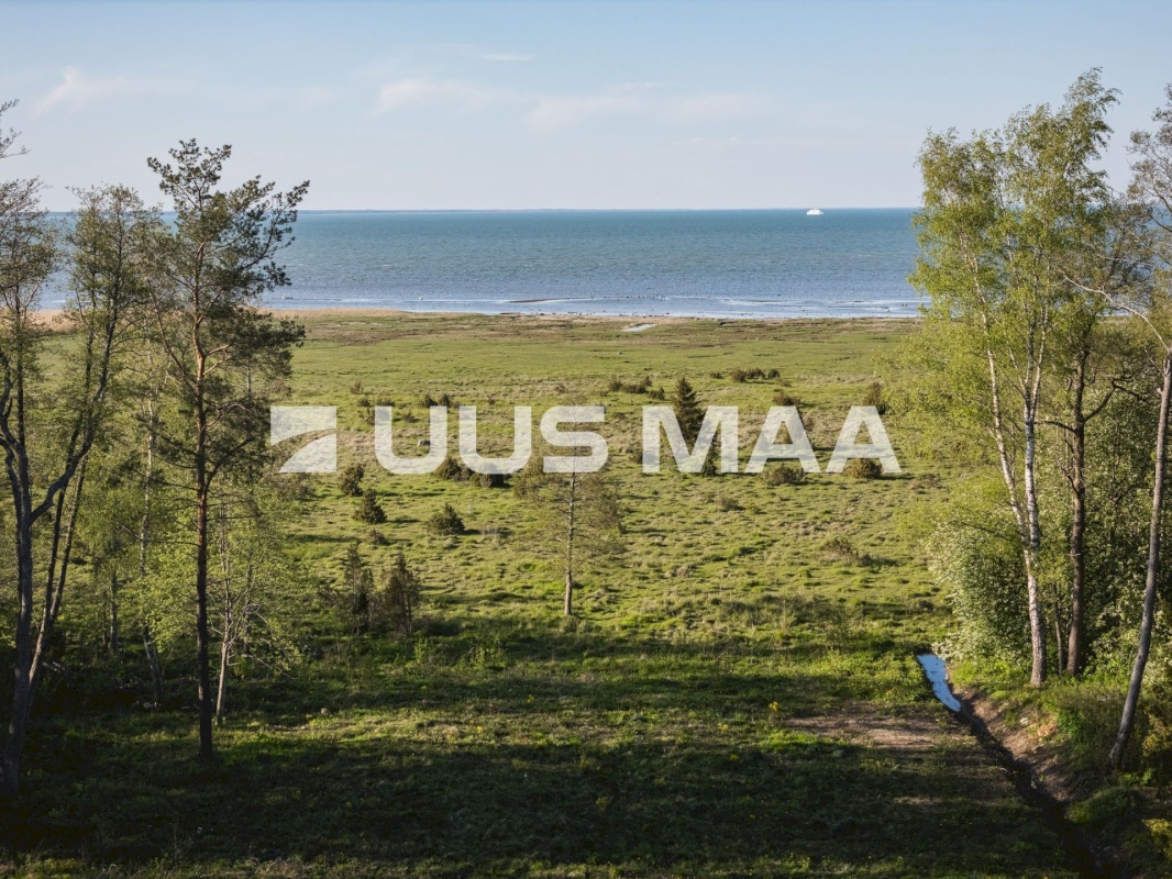 Saaremaa vald, Parasmetsa küla, Palmi ja Metsanurga