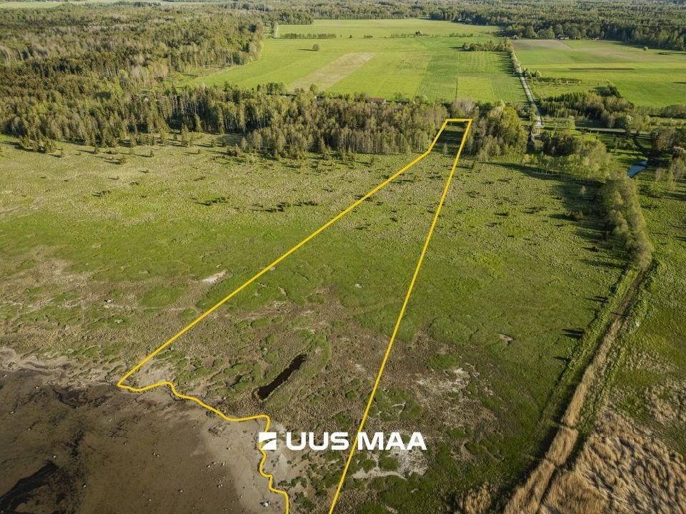 Saaremaa vald, Parasmetsa küla, Palmi ja Metsanurga