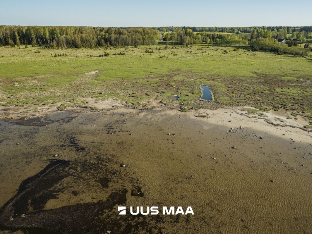 Saaremaa vald, Parasmetsa küla, Palmi ja Metsanurga