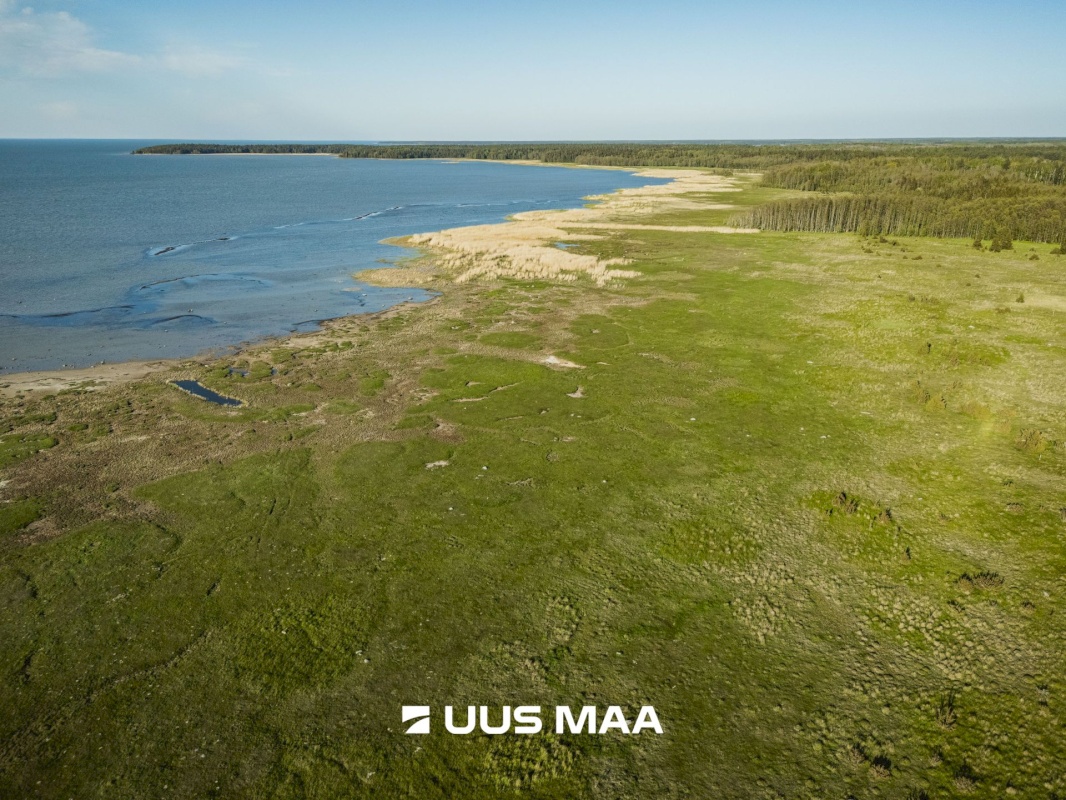 Saaremaa vald, Parasmetsa küla, Palmi ja Metsanurga
