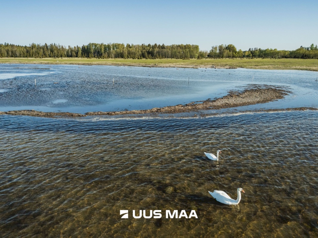 Saaremaa vald, Parasmetsa küla, Palmi ja Metsanurga