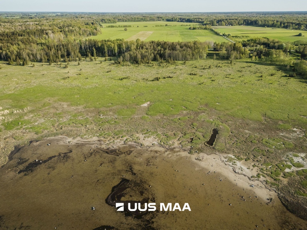 Saaremaa vald, Parasmetsa küla, Palmi ja Metsanurga