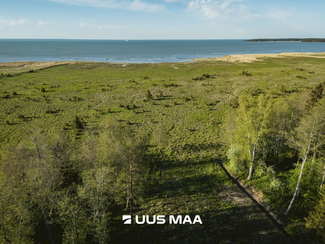 Saaremaa vald, Parasmetsa küla, Palmi ja Metsanurga