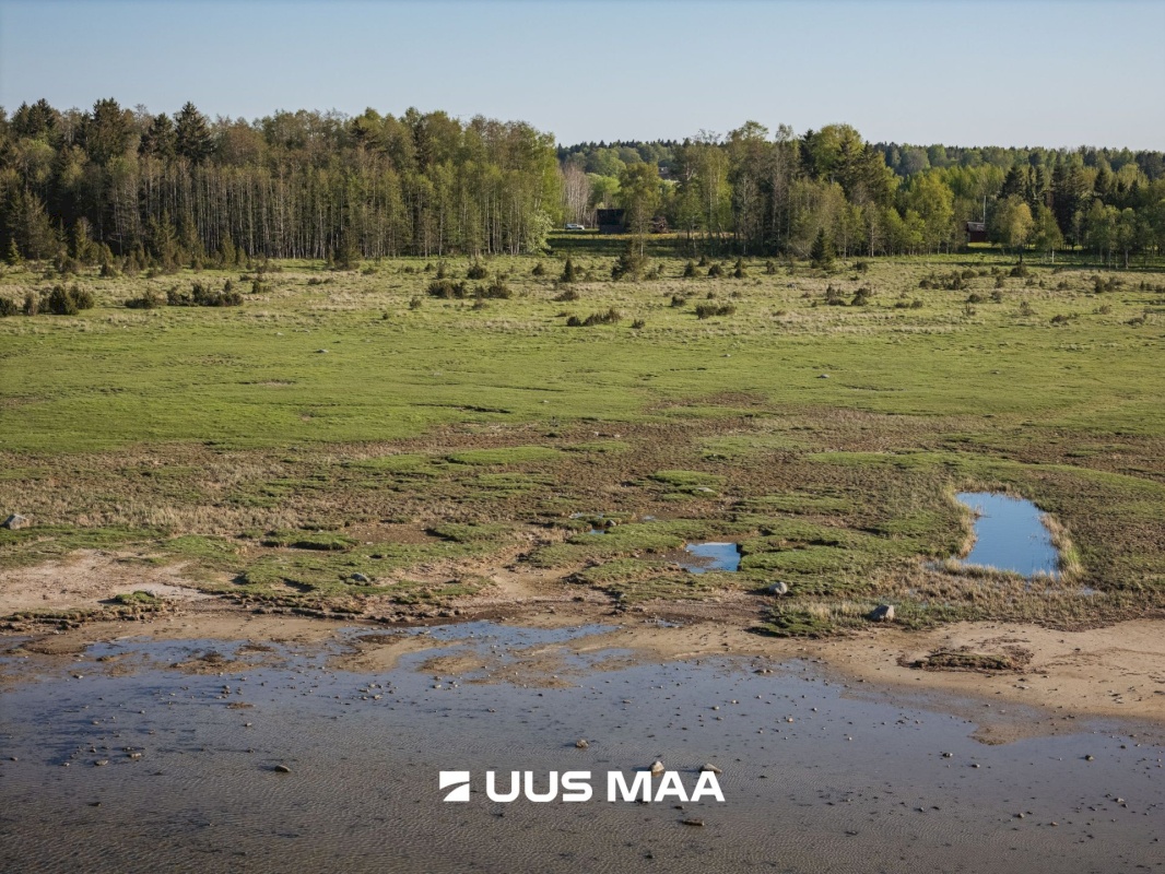 Saaremaa vald, Parasmetsa küla, Palmi ja Metsanurga