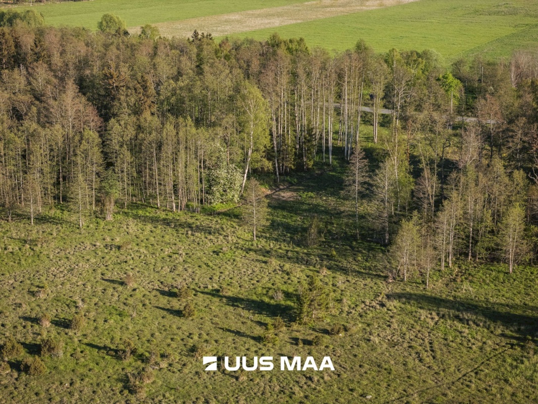 Saaremaa vald, Parasmetsa küla, Palmi ja Metsanurga