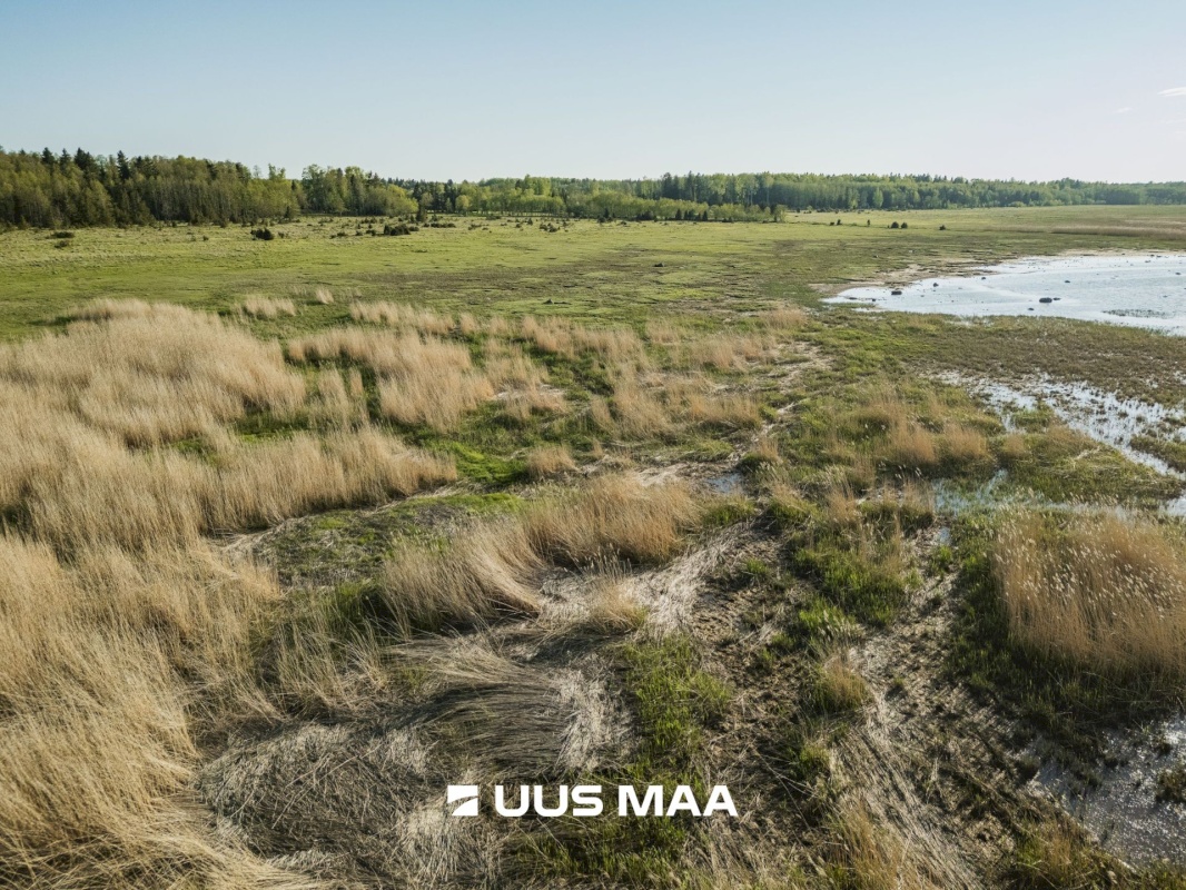 Saaremaa vald, Parasmetsa küla, Palmi ja Metsanurga