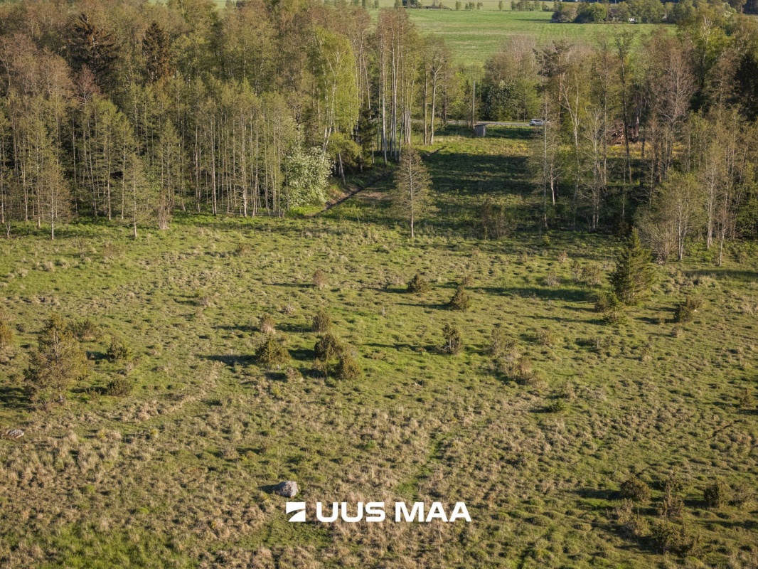 Saaremaa vald, Parasmetsa küla, Palmi ja Metsanurga