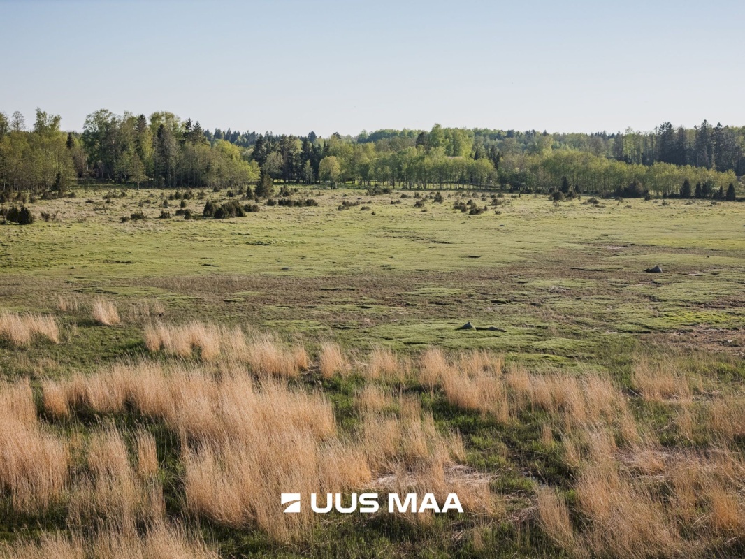 Saaremaa vald, Parasmetsa küla, Palmi ja Metsanurga