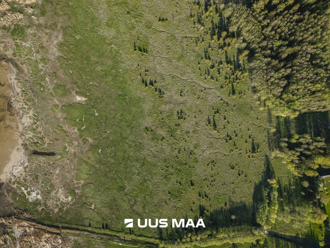 Saaremaa vald, Parasmetsa küla, Palmi ja Metsanurga