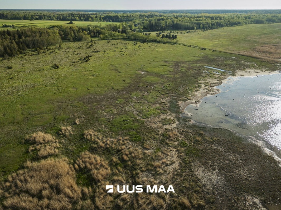 Saaremaa vald, Parasmetsa küla, Palmi ja Metsanurga