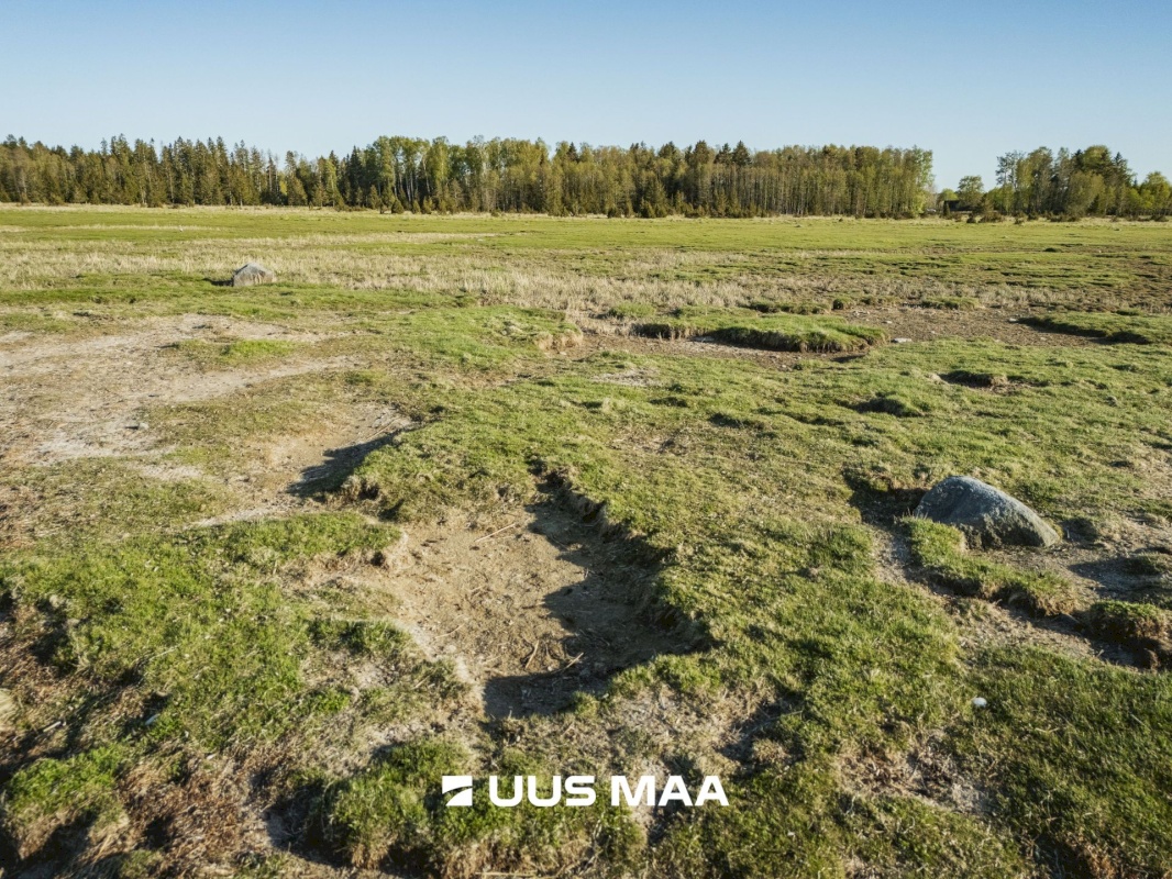 Saaremaa vald, Parasmetsa küla, Palmi ja Metsanurga