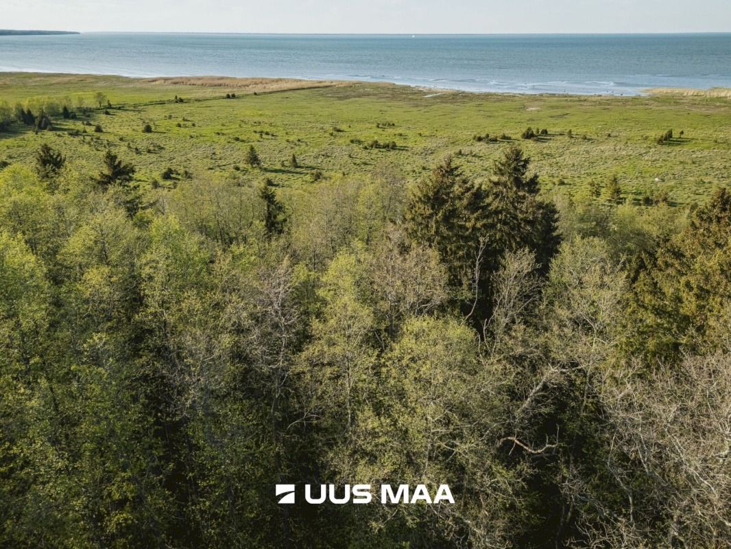 Saaremaa vald, Parasmetsa küla, Palmi ja Metsanurga