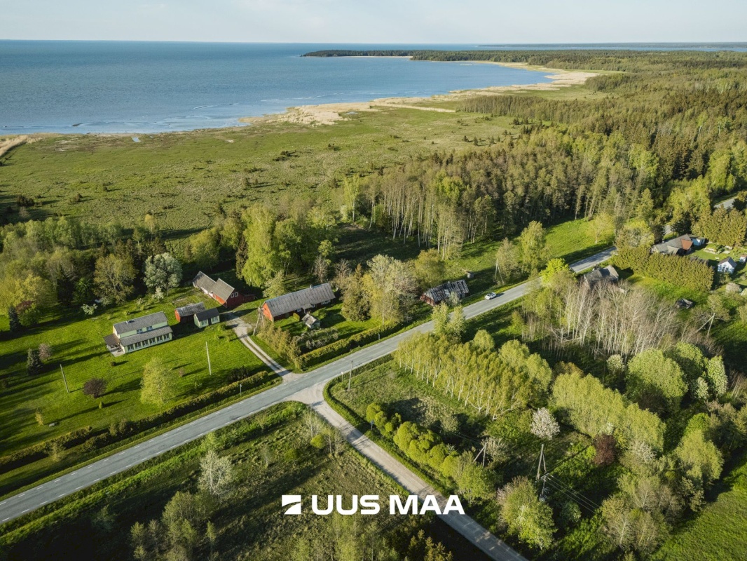 Saaremaa vald, Parasmetsa küla, Palmi ja Metsanurga