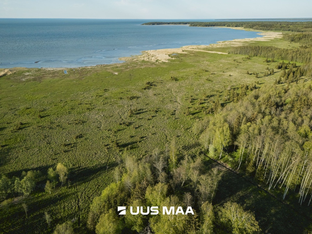 Saaremaa vald, Parasmetsa küla, Palmi ja Metsanurga