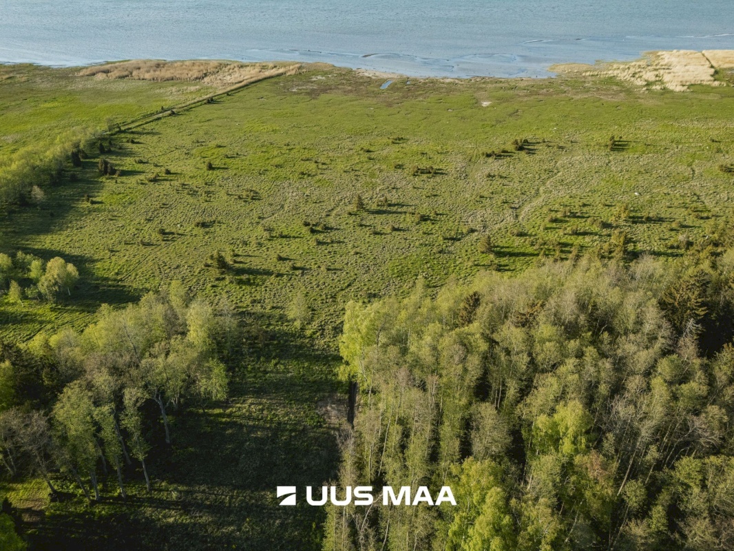 Saaremaa vald, Parasmetsa küla, Palmi ja Metsanurga