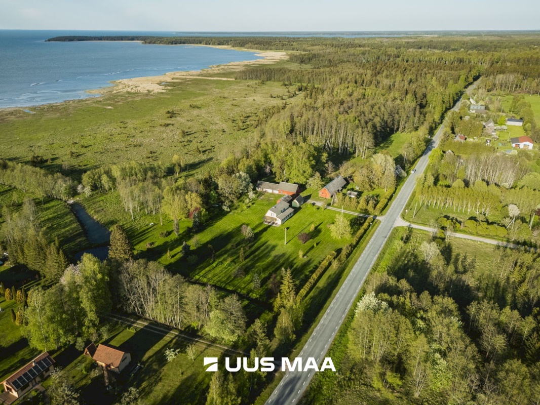 Saaremaa vald, Parasmetsa küla, Palmi ja Metsanurga