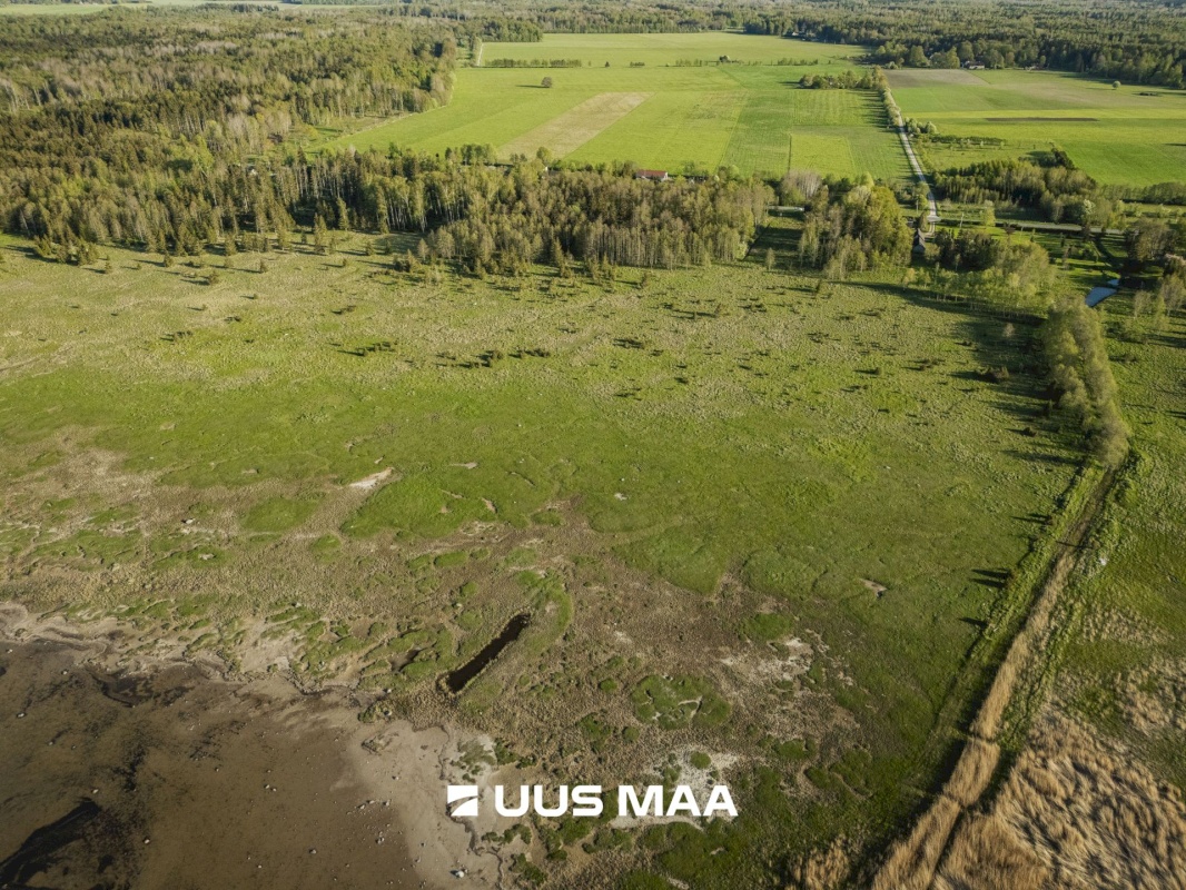 Saaremaa vald, Parasmetsa küla, Palmi ja Metsanurga