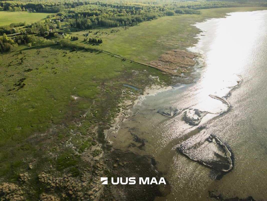 Saaremaa vald, Parasmetsa küla, Palmi ja Metsanurga