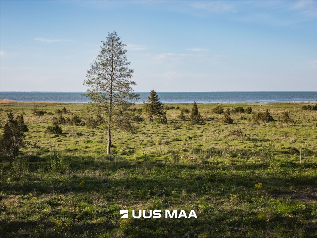 Saaremaa vald, Parasmetsa küla, Palmi ja Metsanurga