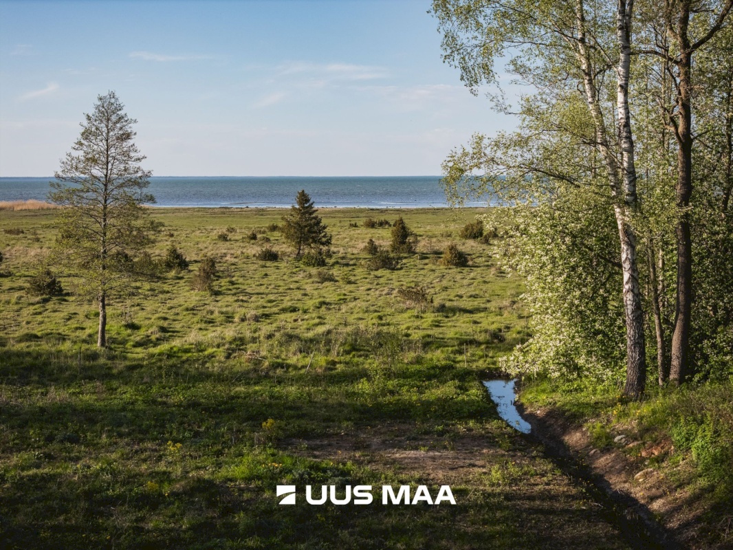 Saaremaa vald, Parasmetsa küla, Palmi ja Metsanurga