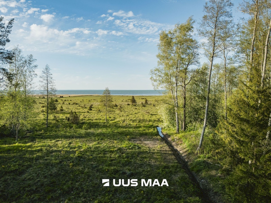 Saaremaa vald, Parasmetsa küla, Palmi ja Metsanurga