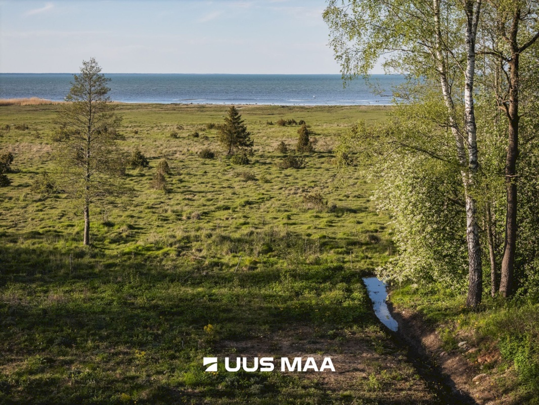 Saaremaa vald, Parasmetsa küla, Palmi ja Metsanurga