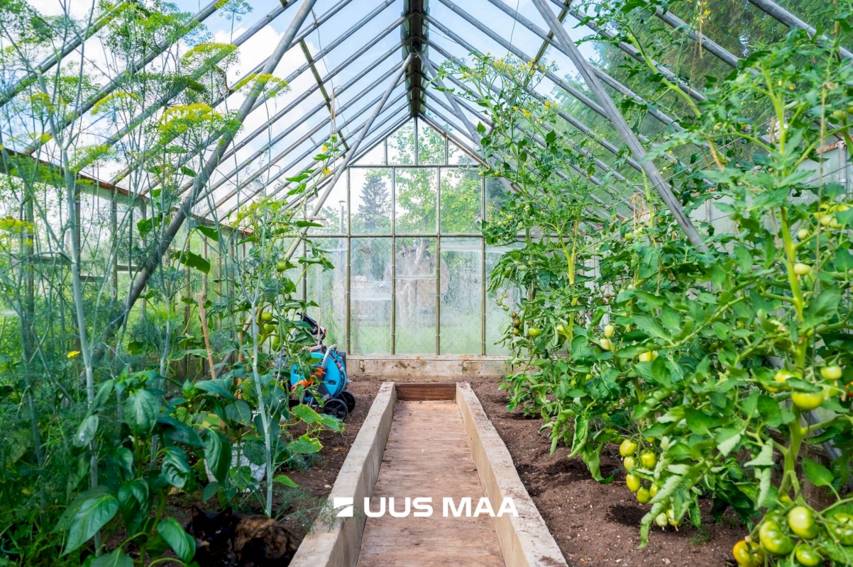 Saue vald, Laitse küla, Hämariku AÜ 12