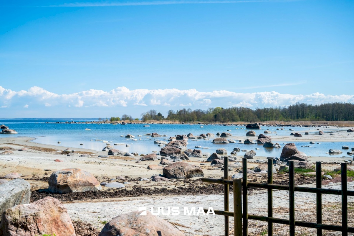 Viimsi vald, Leppneeme küla, Roosimetsa tee