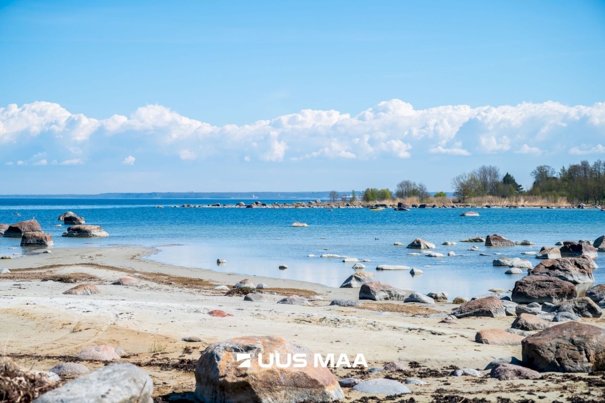 Viimsi vald, Leppneeme küla, Roosimetsa tee