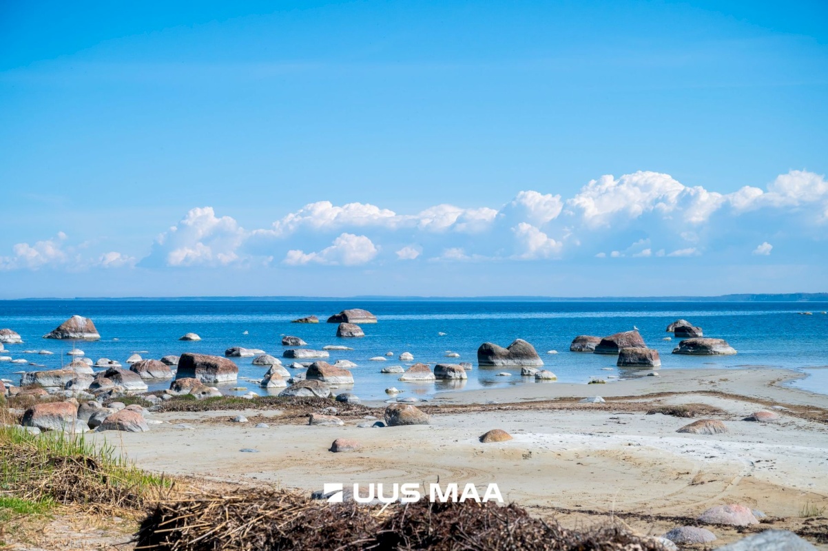 Viimsi vald, Leppneeme küla, Roosimetsa tee