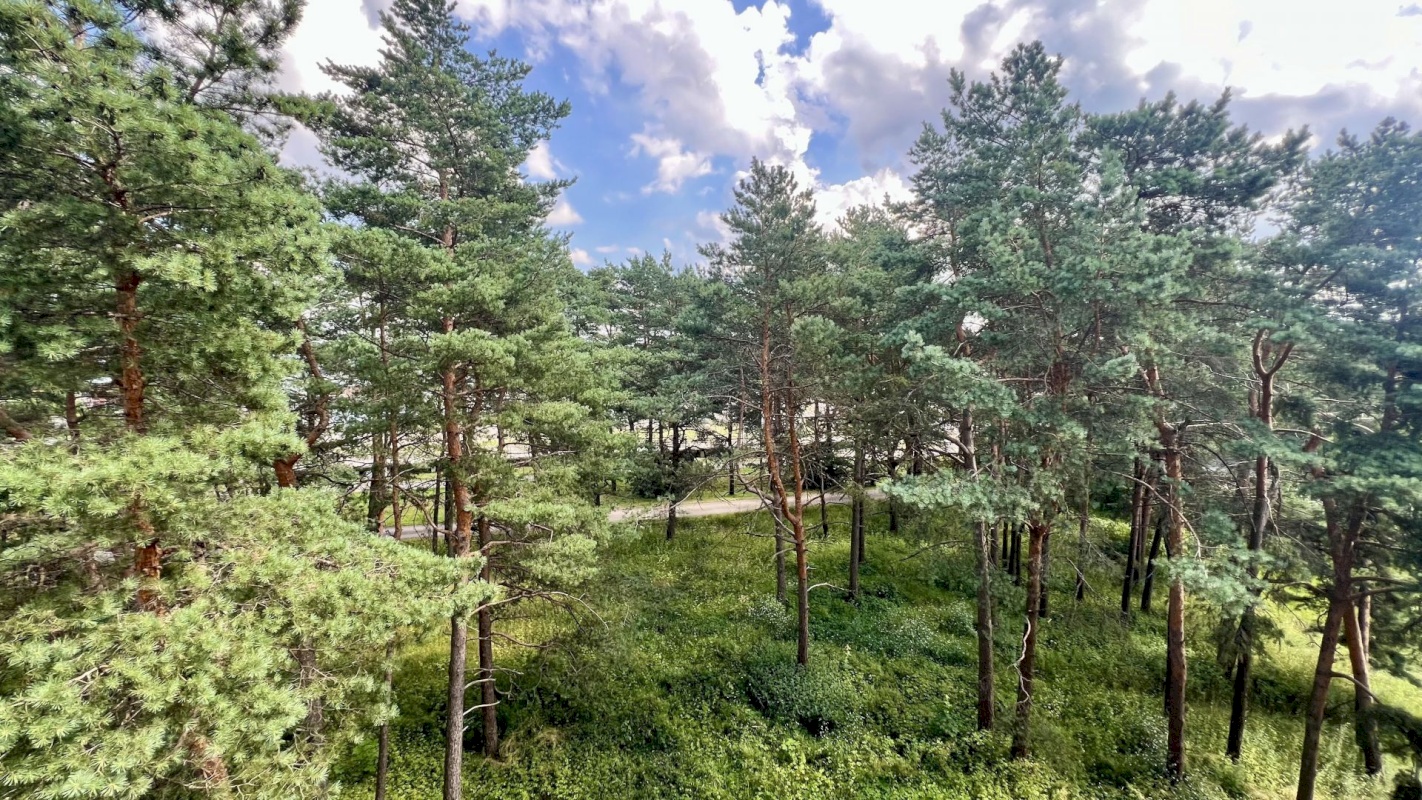 Tallinn, Nõmme linnaosa, Männiku, Valdeku tn 105