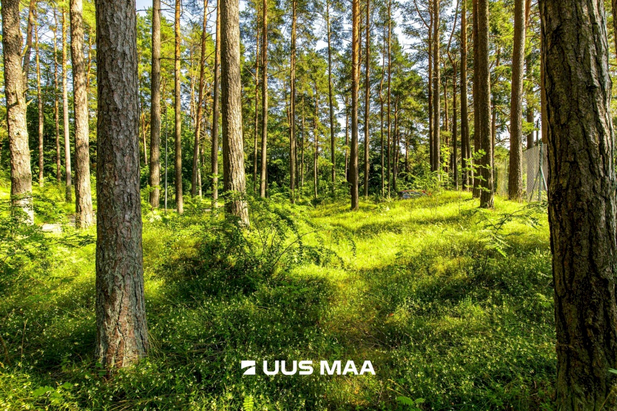 Tallinn, Pirita linnaosa, Kose, Vesiveski tn 8