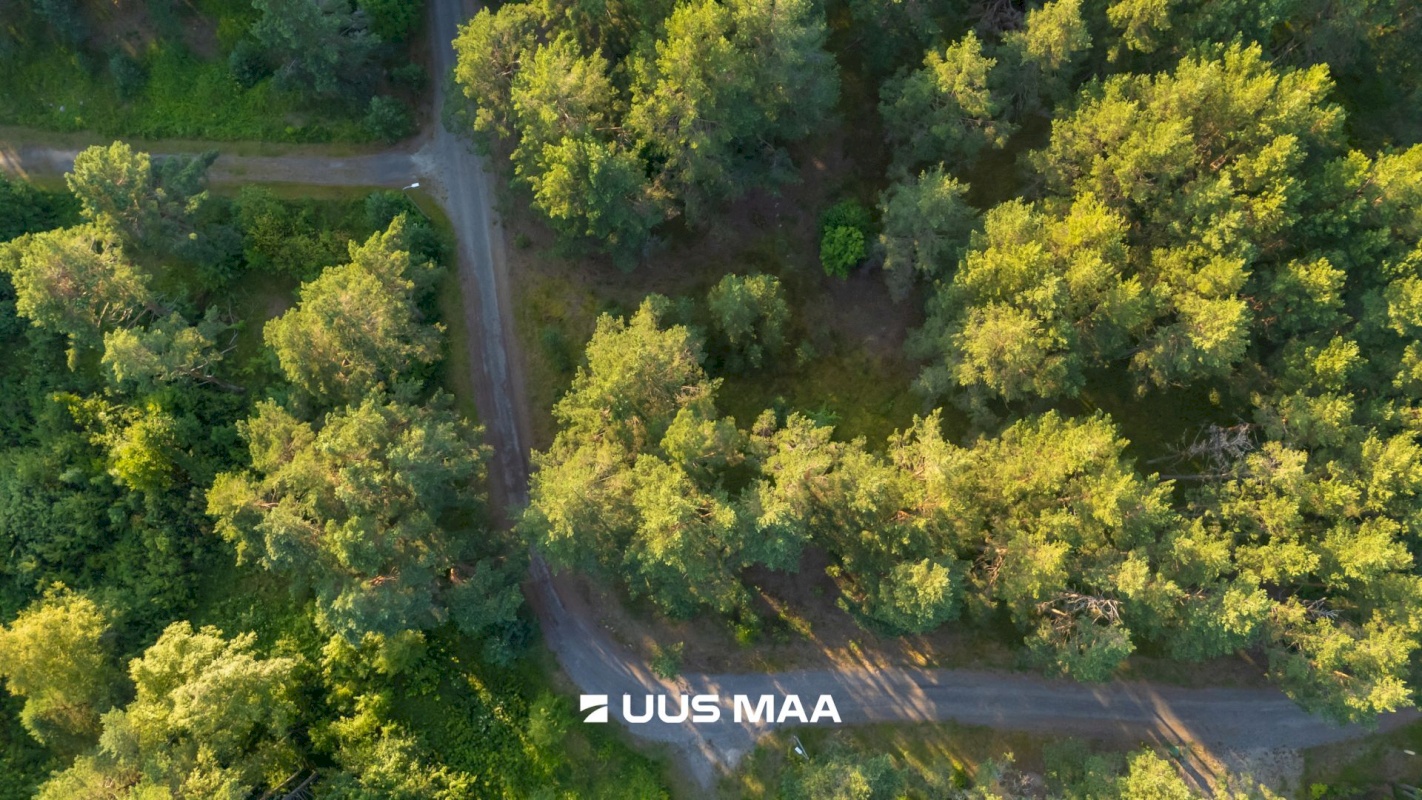Lääne-Harju vald, Kloogaranna küla, Kämpinguranna tee 1