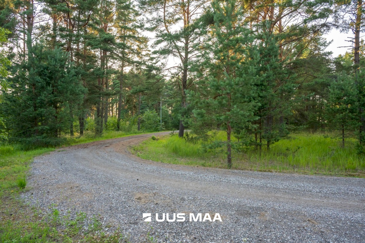 Lääne-Harju vald, Kloogaranna küla, Kämpinguranna tee 1