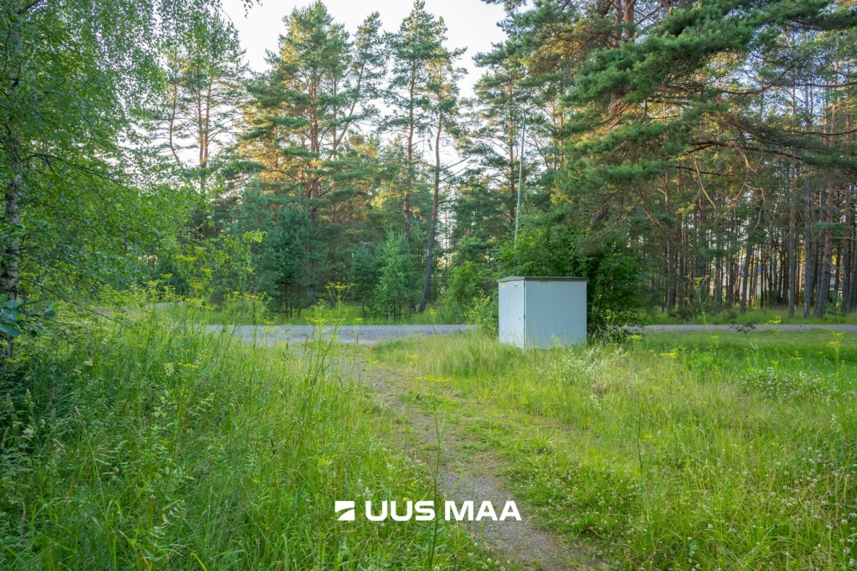 Lääne-Harju vald, Kloogaranna küla, Kämpinguranna tee 1