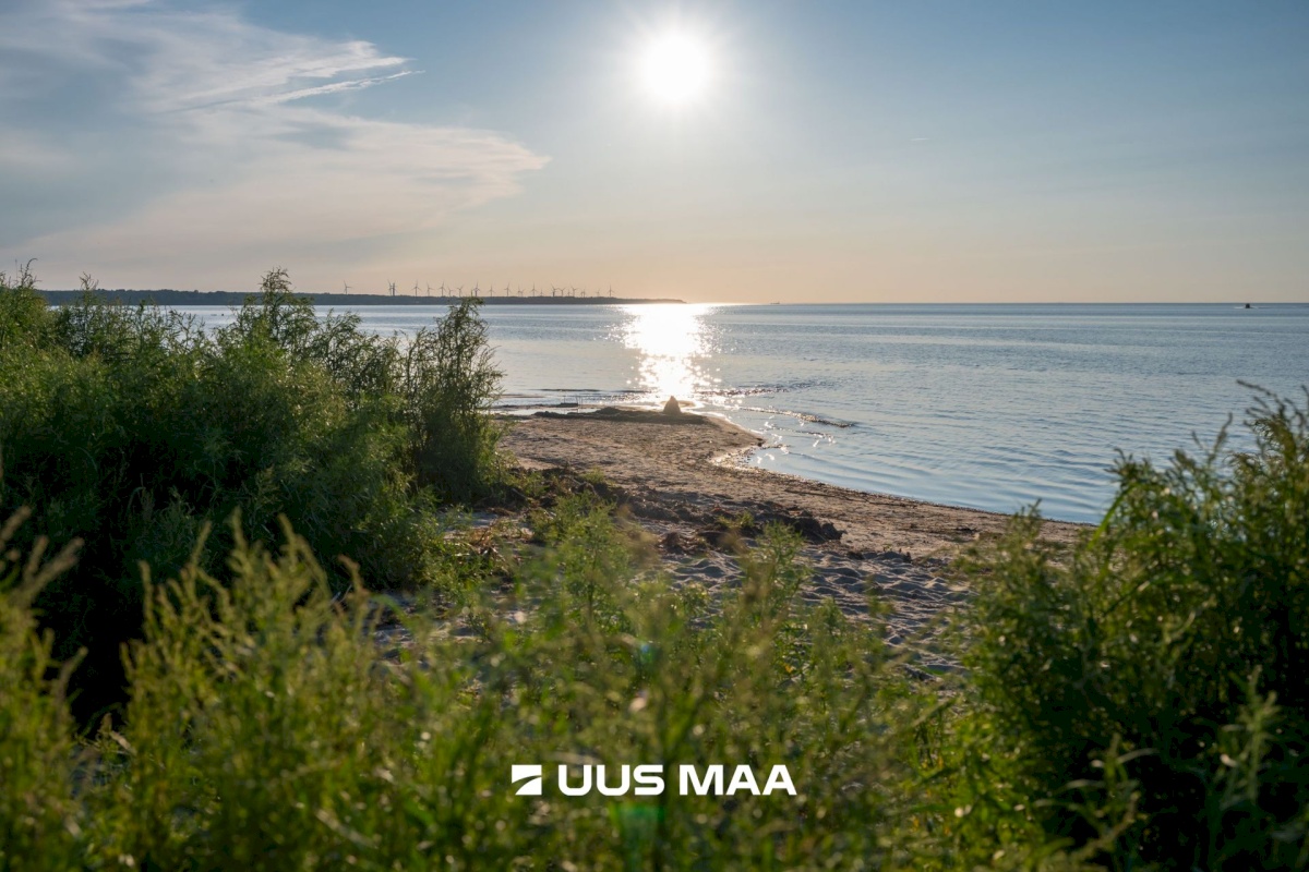 Lääne-Harju vald, Kloogaranna küla, Kämpinguranna tee 1