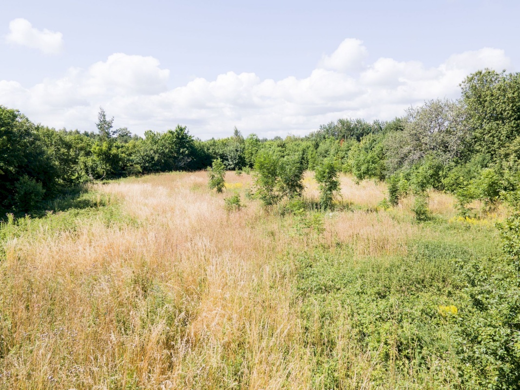 Saaremaa vald, Muratsi küla, Rauna kinnistu
