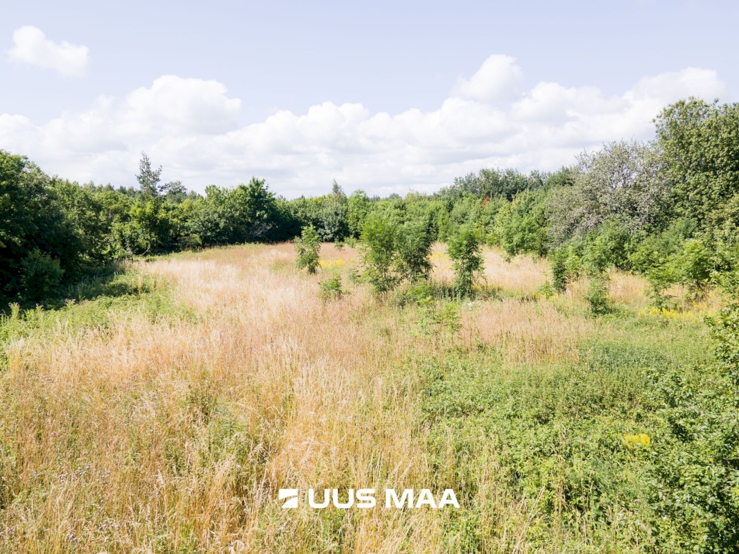 Saaremaa vald, Muratsi küla, Rauna kinnistu