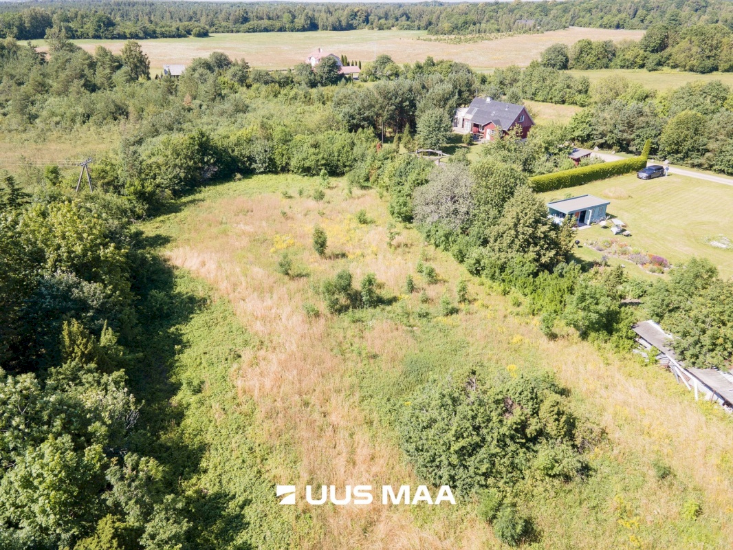 Saaremaa vald, Muratsi küla, Rauna kinnistu