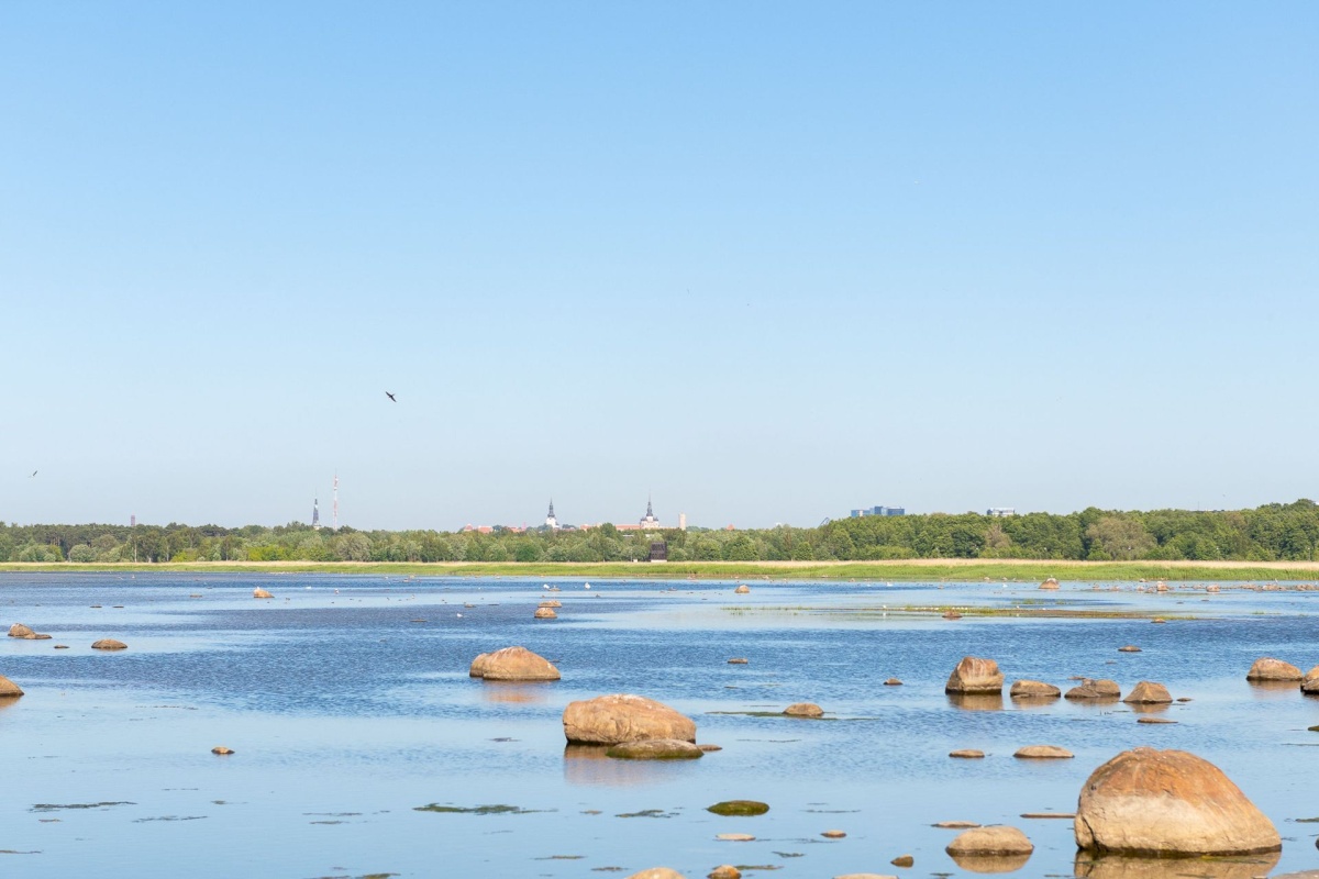 Tallinn, Haabersti linnaosa, Vabaõhumuuseumi tee 5/1